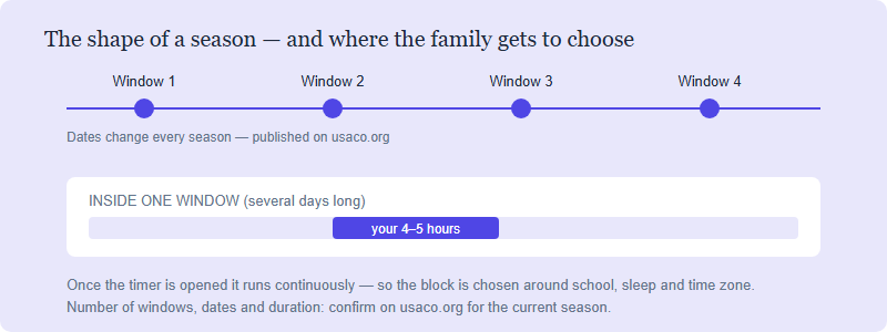 A Parent’s Guide to the USACO Season: How to Tell Real Progress From Busywork