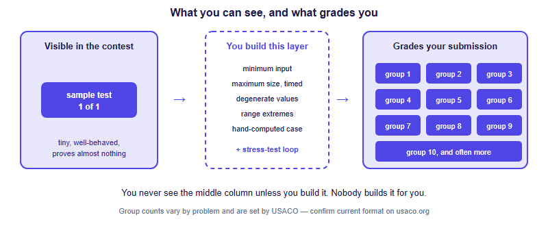 One Sample Test Is All You Get: How to Build Your Own USACO Test Cases