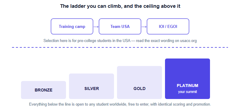 USACO for Students Outside the US: What You Can Actually Win, and Where the Ladder Stops
